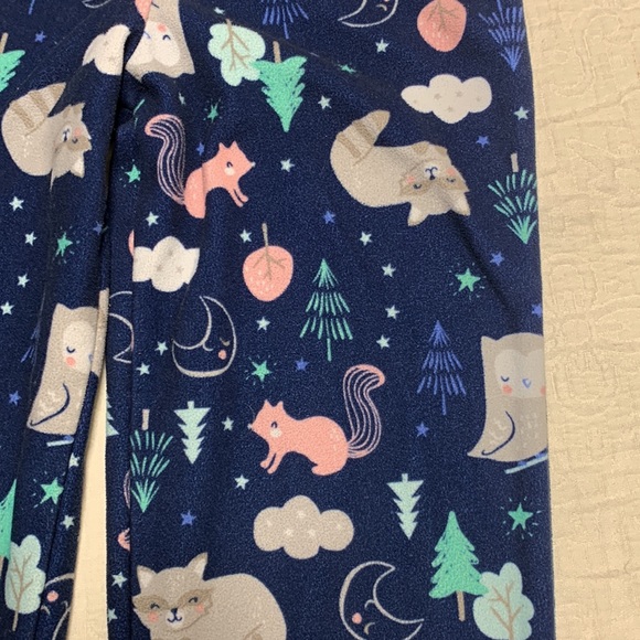 2T (5/$20) Woodland-Themed Fleece Comfy Pants by Carter’s - Picture 5 of 11
